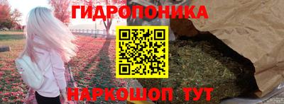 стаф Бузулук