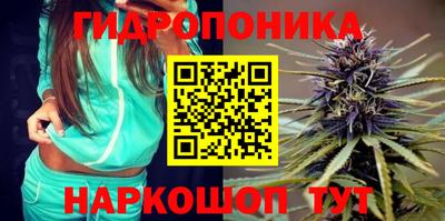 стаф Бузулук