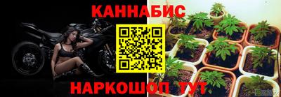 мяу мяу мука Будённовск