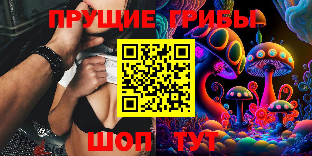 Псилоцибиновые грибы GOLDEN TEACHER Лысьва
